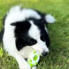 Phedgehog Shape Dog Toy Leaking Food Toys For Small Large Dogs Cat Chewing Toys Pet Tooth Cleaning Indestructible Puppy Toys Ball Molar Tooth Cle