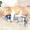 Cat Toy Flopping Fish Cat Toy With Realistic Tail Wagging; Interactive Plush Chewing Toy For Cats